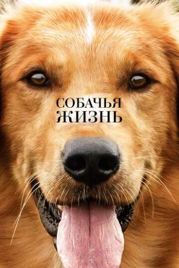 Постер к фильму Собачья жизнь Постер к фильму Собачья жизнь